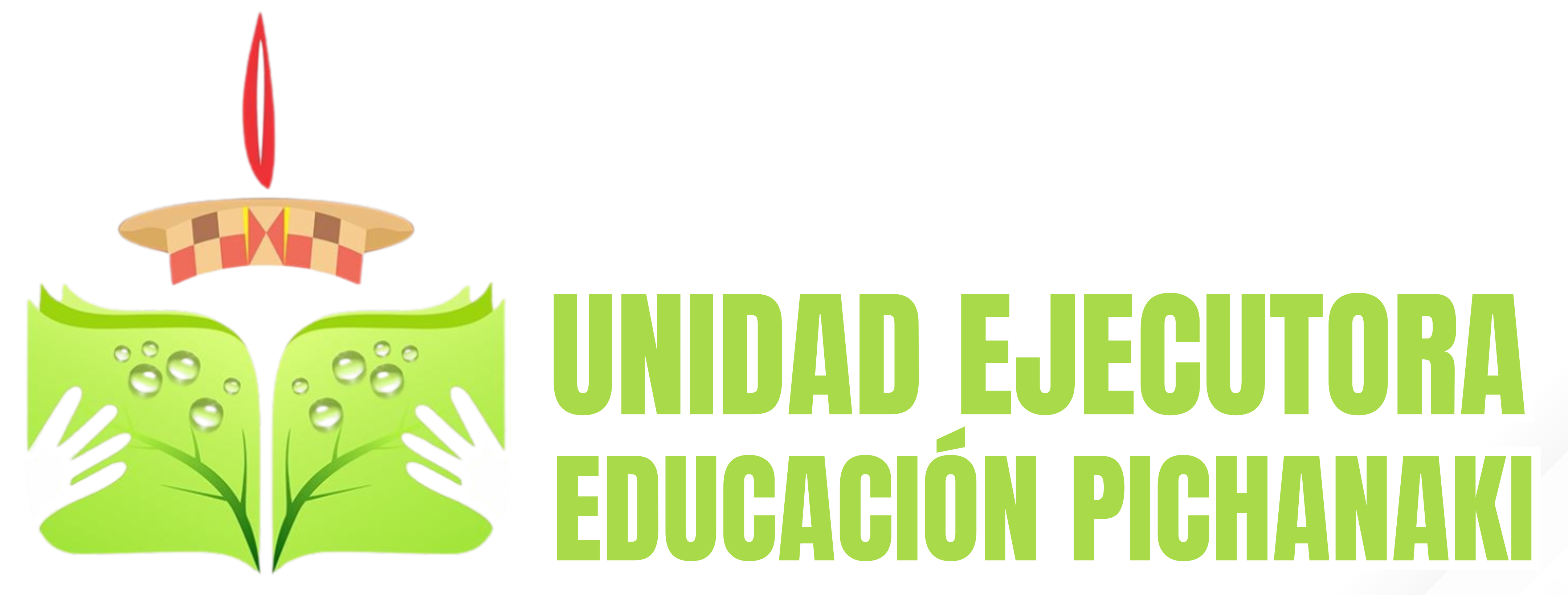 Logo Unidad Ejecutora Educación Pichanaki